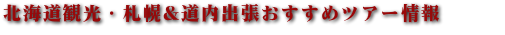 北海道おすすめツアー　最新ツアー　道内周遊格安旅行