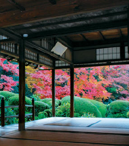 京都 人気の庭園