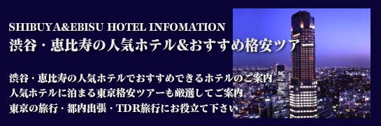 横浜人気ホテル&おすすめ都内格安ツアー
