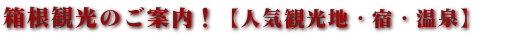 箱根人気観光 格安プラン