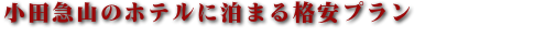 小田急山のホテル のおすすめプラン