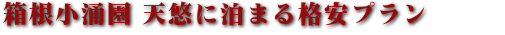 箱根小涌園 天悠【小涌谷温泉】のおすすめプラン