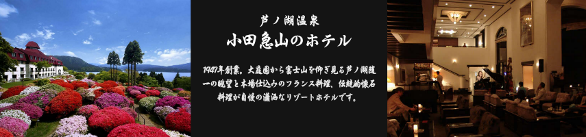 小田急山のホテル【芦ノ湖温泉】