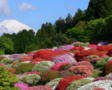 箱根旅行 芦ノ湖