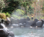 箱根ホテル小涌園