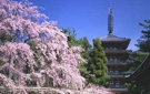 京都 人気のカフェ