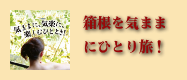 箱根をきままにひとり旅 おすすめ箱根スティプラン