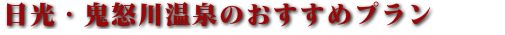 日光・鬼怒川・那須 人気ホテルのおすすめプラン