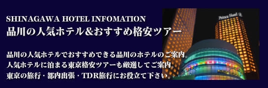 横浜人気ホテル&おすすめ都内格安ツアー