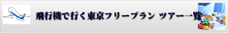 飛行機で行く東京フリープラン