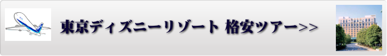 飛行機で行く東京フリープラン