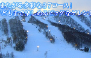 83s83N83608383208-1.png
