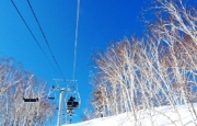 image-1.jpg